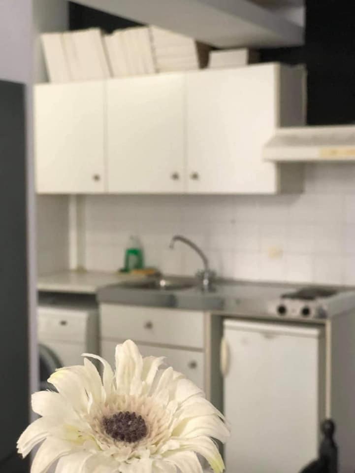 Oikeion Aparthotel Ερμούπολη Εξωτερικό φωτογραφία